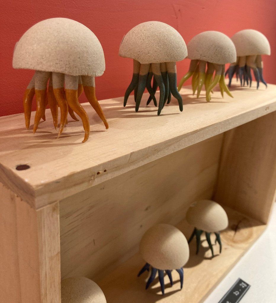 Les mondes minuscules - Claire Mercier